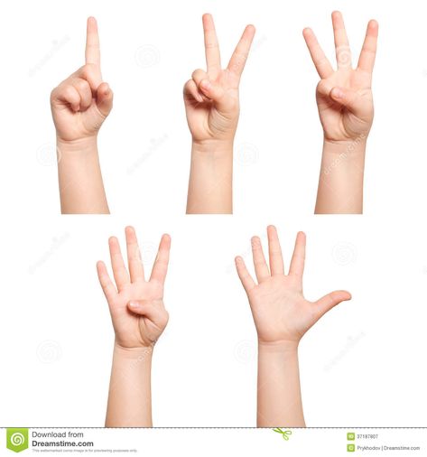 Isolated children hands show the number one two three four five #Sponsored , #sponsored, #sponsored, #children, #show, #hands, #Isolated Deck Of Many Things, Body Study, Hand Reference, One Two Three, Two Fingers, Hand Model, Children Images, Character Poses, First Second