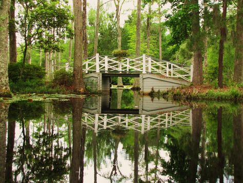 How to Take 'The Notebook' Tour of Charleston Noah And Allie, Charleston Architecture, Movie Place, Krakow Travel, Cypress Gardens, William Aiken House, Private Event Space, Boone Hall, Antebellum Homes