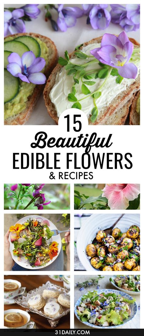 15 Beautiful Edible Flowers to Brighten Your Dishes | 31Daily.com Garden Party Astethic, Candied Edible Flowers, Editable Flowers, Fairy Flower Garden, Drink Garnishes, Eatable Flowers, Eating Flowers, Edible Flower Garden, Floral Food