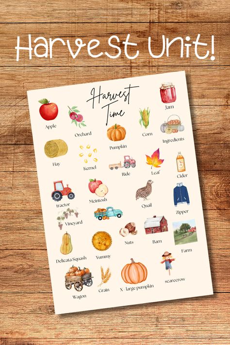 Embrace the harvest season with our Fall Harvest Printable Early Learning Homeschool Unit! Perfect for preschool and homeschool, this engaging digital download features a variety of harvest-themed activities designed to captivate and educate young learners! Harvest Theme Preschool Activities, Preschool Harvest Activities, Preschool Harvest Theme, Harvest Preschool, Preschool Harvest, Harvest Activities, Harvest Theme, Fall Preschool Activities, Apple Jam