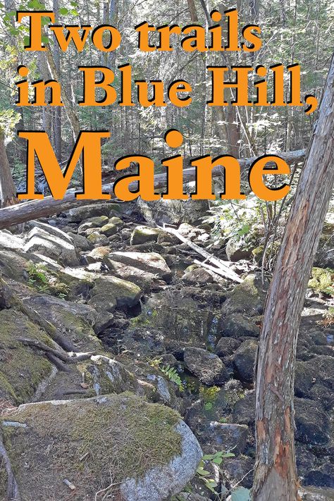 Blue Hill Maine, Blue Hill, Hiking Trails, Bouldering, My Family, Beautiful Blue, New England, City Photo, Maine