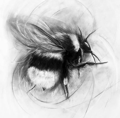 Lauren Lucchese Bee Drawing, Insect Art, Insects, Bee, Etsy Uk, Drawings, Quick Saves, Art