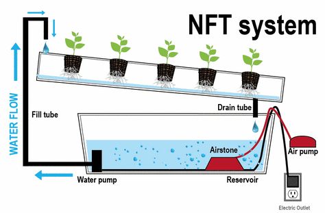 NFT Hydroponic System Diy Aquaponics, Backyard Aquaponics, Aquaponics Diy, Film Technique, Hydroponic Farming, Hydroponics Diy, Aquaponic Gardening, Hydroponic Growing, Aquaponics System