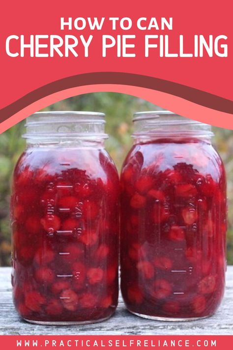 How To Can Pie Filling, How To Can Cherry Pie Filling, Cherry Pie Filling To Can, Canning Cherry Pie Filling Recipes, Can Cherry Pie Filling Recipes, Canning Cherries Recipes, Canned Cherry Pie Filling Recipes, Cherry Recipes Canning, Aerogarden Diy