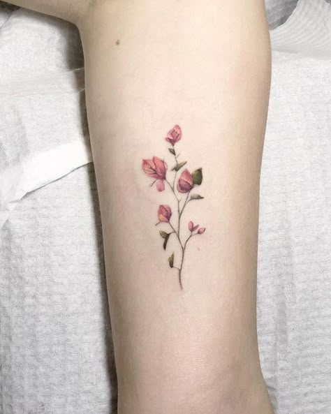 Rosa Laevigata Tattoo, Bougainvillea Line Art, Bourgainvilier Flower Tattoo, Bougainvillea Tattoo Black, Bougainvillea Tattoo Design, Mandevilla Tattoo, Bougainvillea Flower Tattoo, Bougainvillea Tattoo, Molecule Tattoo