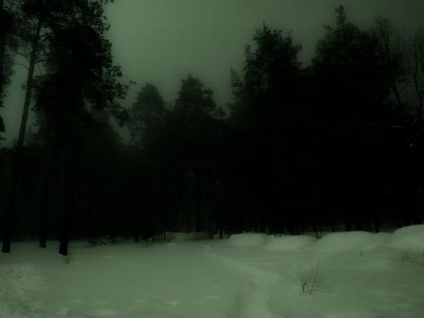 Ethereal Nature, Nature Snow, Dark Naturalism, Snow Night, Dark Landscape, Gothic Emo, Dreamcore Weirdcore, Wish You Were Here, Weird Dreams