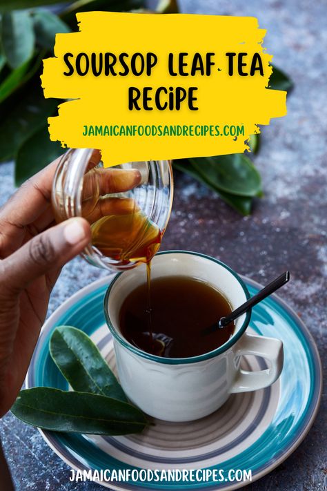 soursop leaves tea benefits, soursop leaf tea benefits, soursop leaf tea recipe Bush Tea Caribbean, Soursop Leaves Tea Benefits, Soursop Leaves Benefits, Soursop Tea Benefits, Soursop Tea Recipe, Soursop Tea, Food Jamaican, Rotisserie Turkey, Jamaican Recipe