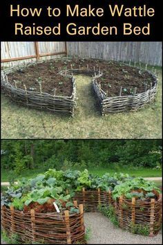 Building A Raised Garden, Plants Growing, Veg Garden, Have Inspiration, Home Vegetable Garden, Vegetable Garden Design, Garden Bed, Veggie Garden, Small Gardens