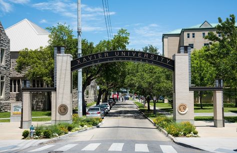 Xavier University Of Louisiana, Langston University, Hbcu Colleges, Texas College, College Of Medicine, Lincoln University, Xavier University, Prairie View, Southern University