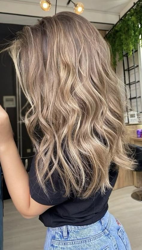 Soft Teddy Bear Bronde, Teddy Blonde Balayage, Full Foil Blonde Highlights Brown Hair, Teddy Blonde Highlights, Blonde To Bronde Fall, Teddy Blonde Hair Color, Teddy Bear Bronde Hair, Teddy Hair Color, Blendy Blonde