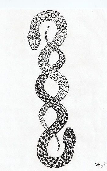 Tattoo Son, Ouroboros Tattoo, Serpent Tattoo, Snake Drawing, Snake Tattoo Design, Urban Dictionary, E Tattoo, Spine Tattoo, Diy Tattoo