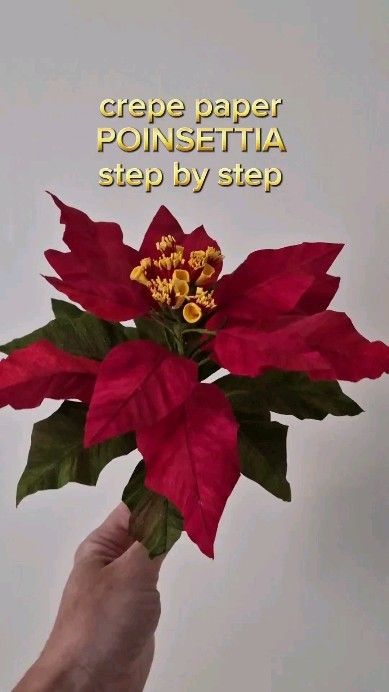 Atelier Fleurs de Crepon | Imagine making your own crepe paper poinsettia this Christmas ... This simple step by step will show you how. You can vary the size at your... | Instagram Paper Ponsetia, Christmas Flowers Diy, Paper Daffodils, Paper Poinsettia, Christmas Flowers, Christmas Floral, Crepe Paper, Flowers Diy, Poinsettia