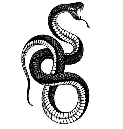 Black Snake Tattoo Design, Black Snake Drawing, Snake Design Tattoo, Snake Tattoo Drawing, Cobra Tattoo Design, King Cobra Tattoo, Black Snake Tattoo, Tiger Hand Tattoo, Traditional Snake Tattoo