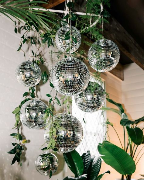 A sneak peek into a micro wedding with a jungle/disco flair—think lush greenery, velvet sofas and sparkling disco balls 🪩 If you’re looking for a versatile, stunning space to host your wedding, check out @willow_and_stone_estate for all celebrations, big and small! Florist - @loveliesbleedingflowers Hire - @oohlalemonade Venue - @willow_and_stone_estate Jungle Disco, Flamingo Photography, Velvet Sofas, Disco Balls, Micro Wedding, Lush Greenery, Velvet Sofa, Vow Renewal, Sneak Peek