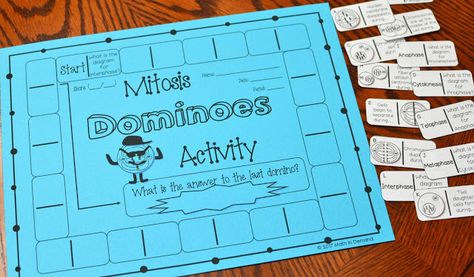 Biology Activities High School, Mitosis Worksheet, Mitosis Activity, Mitosis And Meiosis, Apologia Biology, Math Early Finishers, Biology Activity, Life Science Activities, Science Homework