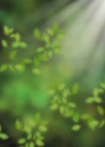 Nature Blur Background Hd, Green Blur Background, Blur Nature, Sunny Background, 3d Desktop Wallpaper, Mushroom Background, Photoshoot Background, Background Ppt, Background Blur