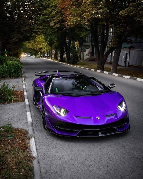 Lamborghini Supercar, Car Lamborghini, Cool Truck Accessories, Mustang Car, Aventador Svj, Purple Car, Car Experience, Ford Mustang Car, Lamborghini Cars