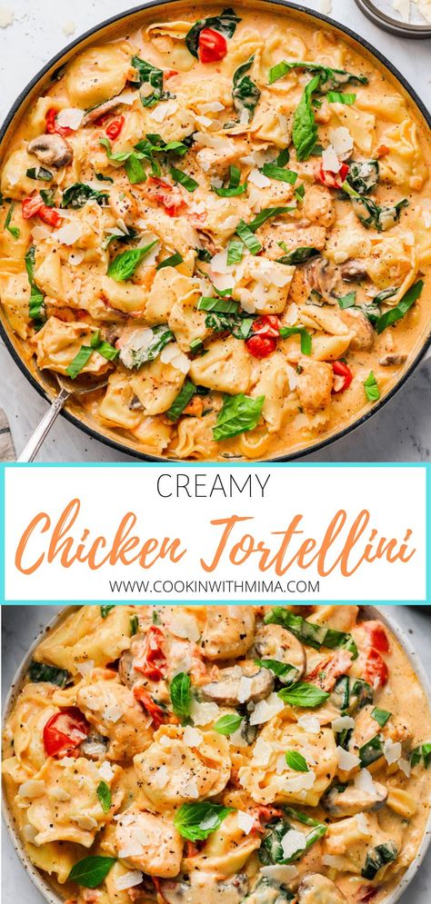 Chicken Tortellini Red Sauce, Creamy Chicken Ravioli, Creamy Supper Ideas, Recipes With Chicken Tortellini, Italian Chicken Tortellini Skillet, Crockpot Pasta Recipes Tortellini, Dinner Idea Tortellini, The Best Supper Recipes, Chicken Tortellini With Vodka Sauce