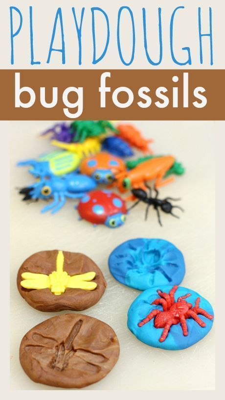 Playdough Bug Fossils Zoology 1 #homeschool science, bug craft, preschool craft, #preschool Bug Fossils, Fossil Activity, Science Projects For Preschoolers, Fossils Activities, Bug Activities, Insects Preschool, Bugs Preschool, Insect Activities, Insect Crafts