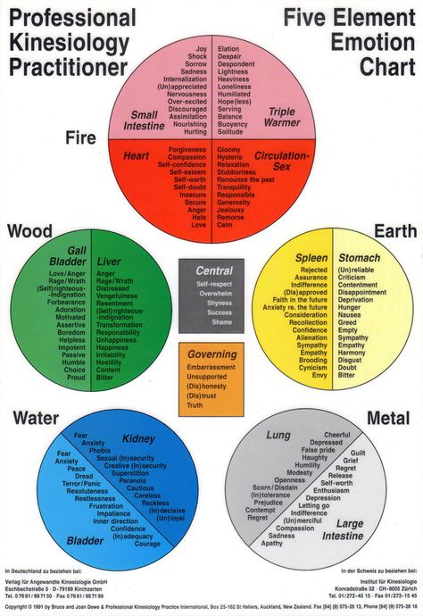 Five-Element Emotion Chart Emotions Worksheet, Tcm Traditional Chinese Medicine, Element Chart, Emotion Chart, The Five Elements, Five Elements, Health Heal, 5 Elements, Energy Medicine