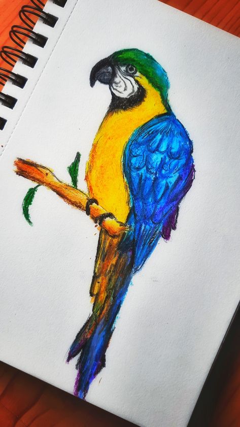 Bird Drawings Oil Pastels, Parrot Oil Pastel, Beautiful Bird Drawing, Bird Pastel Drawing, Name Art Painting, Oil Pastel Bird Drawing, Best Oil Pastel Drawings, Oil Pastel Bird, How To Draw A Bird