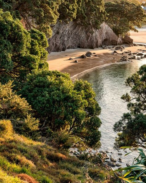 Hahei Beach, New Zealand. Hahei Beach New Zealand, Beach New Zealand, Winter Sun, Late Afternoon, Beach Villa, Beautiful Places, New Zealand, Villa, Sun