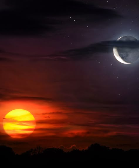 Sun And Moon Wallpaper Aesthetic Dark, Moon And Sun Pictures, Moon And Sun In The Sky, The Sun And The Star Aesthetic, Sun And Moon Photography, East Of The Sun West Of The Moon Aesthetic, The Sun And The Moon Art, Sun Vs Moon Aesthetic, The Sun And Moon Aesthetic