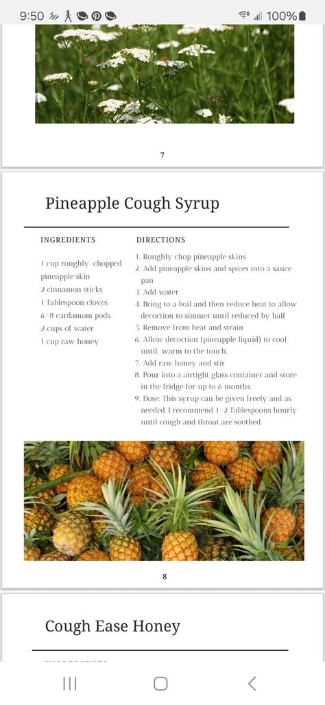 Pineapple Cough Syrup, Delicious Recipes, Syrup, Pineapple, Yummy Food