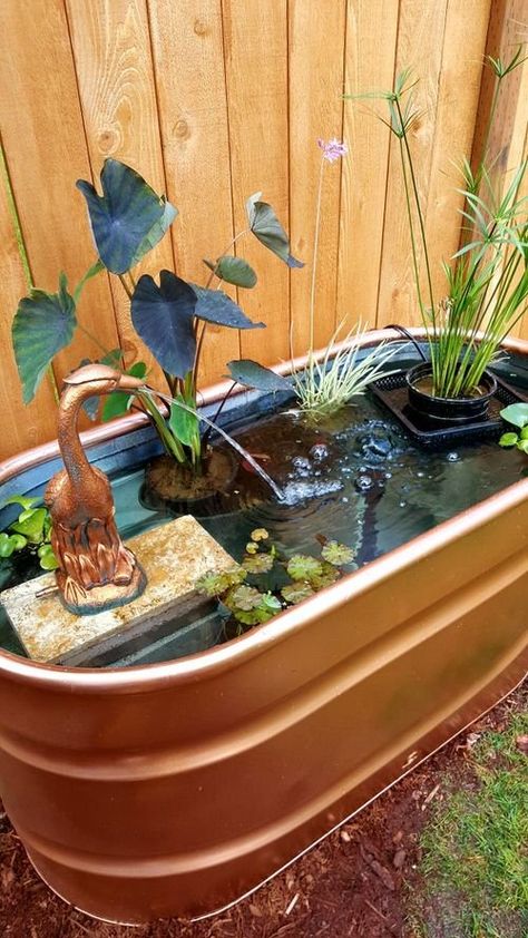 25 Spectacular Outdoor Mini Water Garden Ideas | Balcony Garden Web Ponds Ideas, Small Water Gardens, Backyard Ponds, Container Water Gardens, Patio Pond, Indoor Water Garden, Diy Pond, Fountains Backyard, Pond Fountains