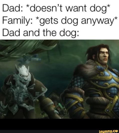 Genn Greymane, Warcraft Funny, Wow Meme, World Of Warcraft 3, World Of Warcraft Characters, Warcraft Characters, Crying Emoji, Office Memes, Warcraft Art