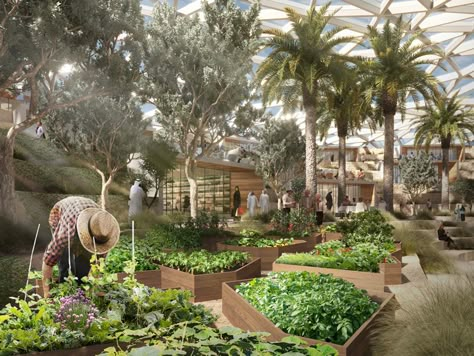 Urban Agriculture Architecture, Agritourism Architecture, Agriculture Landscape Design, Landscape Projects Architecture, Futuristic Farming, Urban Vegetable Garden, Agriculture Architecture, Organic Landscape Design, Eco Resort