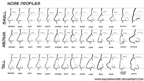 Nose Chart Reference by macawnivore on DeviantArt Different Nose Shapes, Nose Types, Shape Chart, Lip Tutorial, Nose Drawing, Nose Shapes, Healthy Detox, The Nose, Anatomy Reference