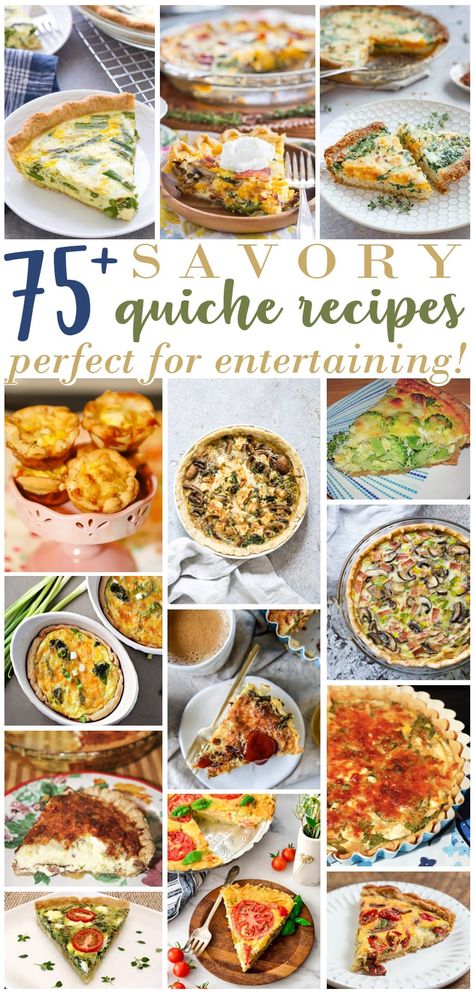 Quiche has been my go to brunch dish for years. It is so simple to make and always comes out beautiful and impressive! Here are over 75 Savory Quiche Recipes Perfect for Entertaining for you to try! Meat Animals, Savory Quiche, Mini Breakfast Quiche, Veggie Quiche, Hocus Pocus Movie, Roasted Broccolini, Vegetable Quiche, Egg Ideas, Blue Crabs