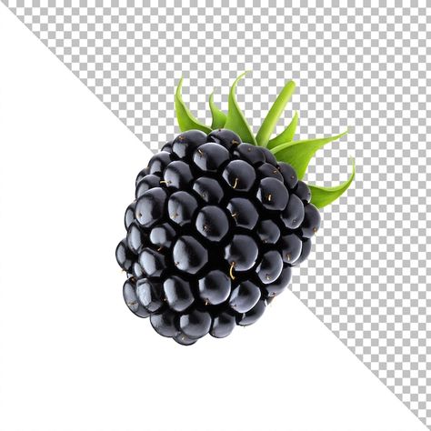 Berry Berry, Human Body Parts, Black Raspberry, Blackberry, Graphic Resources, Grapes, Berry, Raspberry, Lily