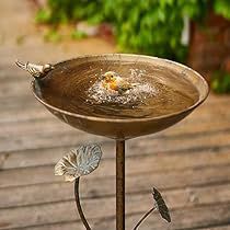 Garden Bird Bath, Metal Bird Bath, Bird Bath Bowl, Bath Garden, Solar Fountain, Bird Bath Garden, Metal Birds, Outdoor Decor Backyard, Backyard Birds