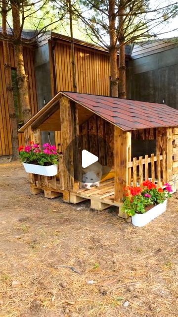 How To Build A Dog House Out Of Pallets, Dog House From Pallets Diy, Doghouse Diy Outdoor, How To Build A Dog House, A Frame Dog House, Pallet Dog House Outdoor, Dog Houses Diy, Dogs House Ideas Outdoor, Dog House Pallets