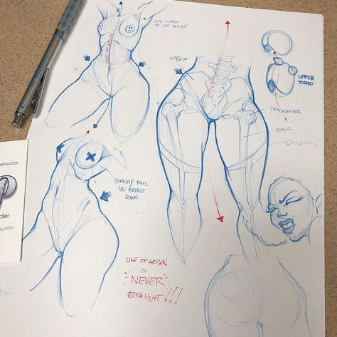 Torso Practice, Line Of Action, Drawing Female Body, Body Drawing Tutorial, Human Anatomy Art, Anatomy Sketches, Body Reference Drawing, Body Anatomy, The Pencil