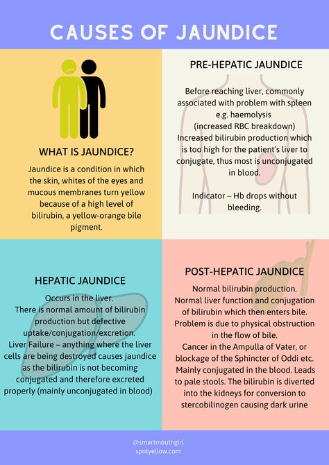 High Bilirubin Levels, Jaundice Notes, Iron Overload, Bilirubin Levels, Nursing School Studying Cheat Sheets, Midwifery Student, Leg Ulcers, Nursing School Essential, Medicine Notes