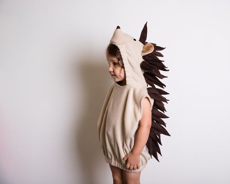 Porcupine Costume, Cute Toddler Halloween Costumes, Duck Halloween Costume, Hedgehog Costume, Lion Halloween Costume, Swan Costume, Toddler Halloween Costume, Crow Costume, Black Swan Costume