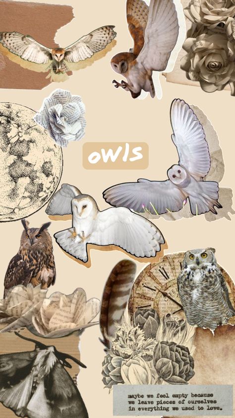 Owls are sillies and skrunklies and possibly goblins!?! Owl Wallpaper Aesthetic, Owl Lockscreen, Owls Aesthetic, Owl Asthetic, Barn Owl Wallpaper, Cute Owl Aesthetic, Aesthetic Owl Wallpaper, Dark Cottagecore Wallpaper, Owl Wallpaper Iphone