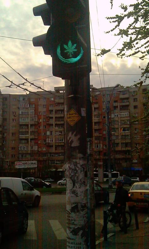 Culture Jamming, Traffic Lights, Civil Disobedience, Street Art, Graffiti, Funny, Green