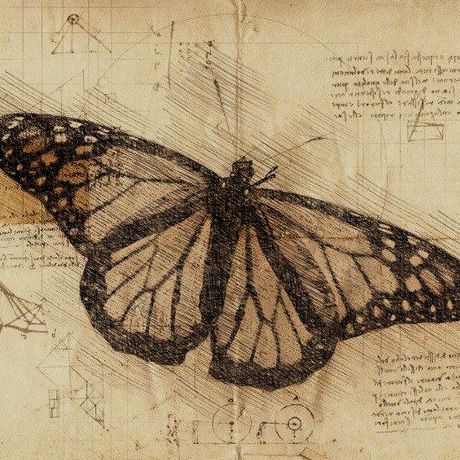 Butterflies Aesthetic Vintage, Light Grunge, Grunge Posters, Arte Grunge, Butterfly Poster, Brown Painting, Vintage Icons, Butterfly Pictures, Butterfly Drawing