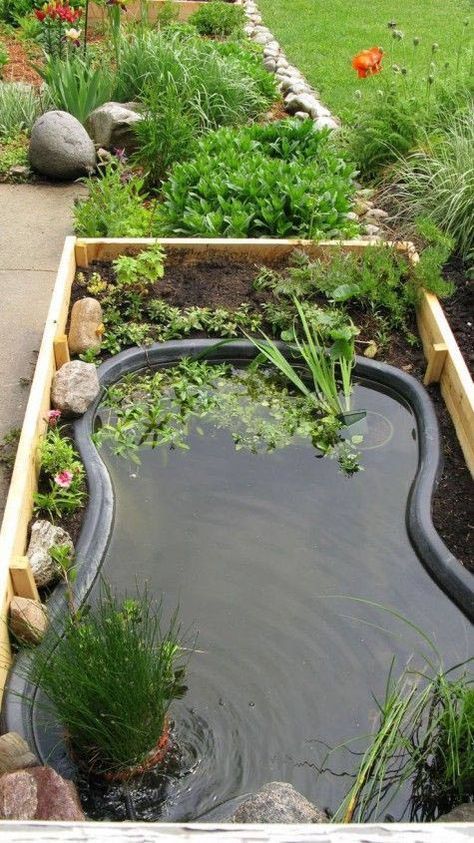 Raised Pond, Ponds For Small Gardens, Mini Pond, Taman Air, Outdoor Ponds, Diy Pond, Backyard Garden Layout, Pond Fountains, Have Inspiration