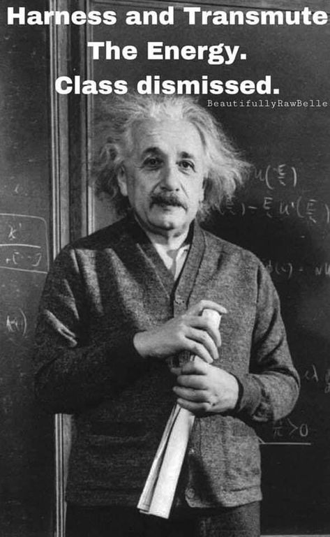 Manhattan Project Scientists, Albert Einstein Science Project, Albert Einstein Biography, Albert Einstein Photo, Cultural Anthropology, Famous Scientist, Manhattan Project, Theory Of Relativity, Great Thinkers