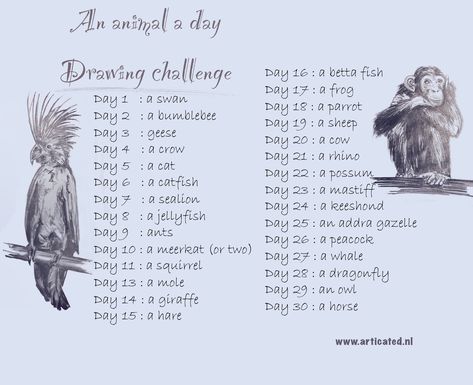 30 day drawing challenge: an animal a day www.articated.nl Animal Challenge Drawing, Draw 30 Day Challenge, Beginner Artist Challenge, 100 Animals Challenge, Daily Sketching Ideas 30 Day, Drawing Challenge Animals, Drawing Challenge 31 Day, Drawing Prompts Animals, Drawing Challenge 30 Day Beginner