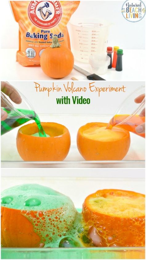 Kids love hands-on Science Activities, and Pumpkin Science Experiments are perfect for a fall theme,This Pumpkin Volcano is an awesome exploding pumpkin experiment for preschoolers, Add this Pumpkin Science to your Kids Science Table or Pumpkin Lesson Plans #pumpkin #scienceforkids #preschool #kindergarten #science #pumpkinactivities #fallactivities Pumpkin Science Activities For Preschool, Fall Toddler Science Activities, Fall Science Table Preschool, Volcano Pumpkin Experiment, Pumpkin Balance Game, Pumpkin Theme Lesson Plans, Science Pumpkin Activities, Pumpkin Volcano Preschool, Pumpkin Experiments For Preschool