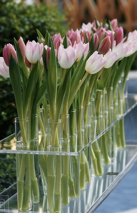 Tulip Bridal Shower Ideas, Tulip Theme Party, Flowers Business, Tulip Centerpiece, Mom Box, Tulip Wedding, Wedding Isles, Acrylic Vase, Wedding Sparklers