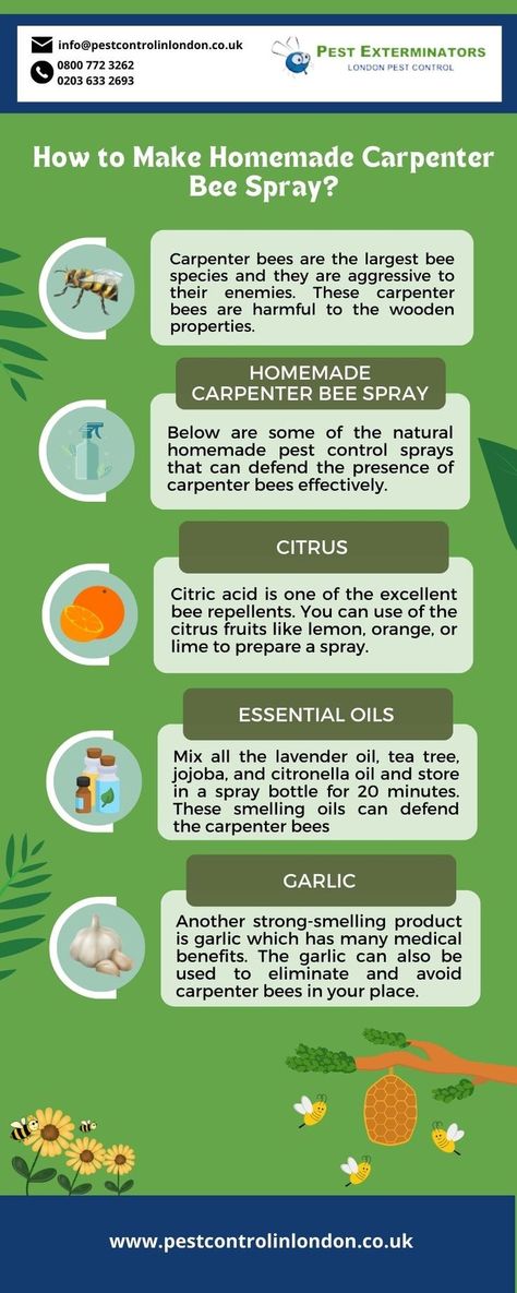 Carpenter bees are the stinging insects that can bite humans and animals. They can chase their enemies up to a quarter-mile if they are disturbed. Below are some of the natural homemade pest control sprays that can defend the presence of carpenter bees effectively. Carpenter Bee Repellent Diy, Rodent Repellent Plants, Bee Spray, Bee Repellent, Repellent Diy, Rodent Repellent, Wood Bees, Citrus Smell, Repellent Plants