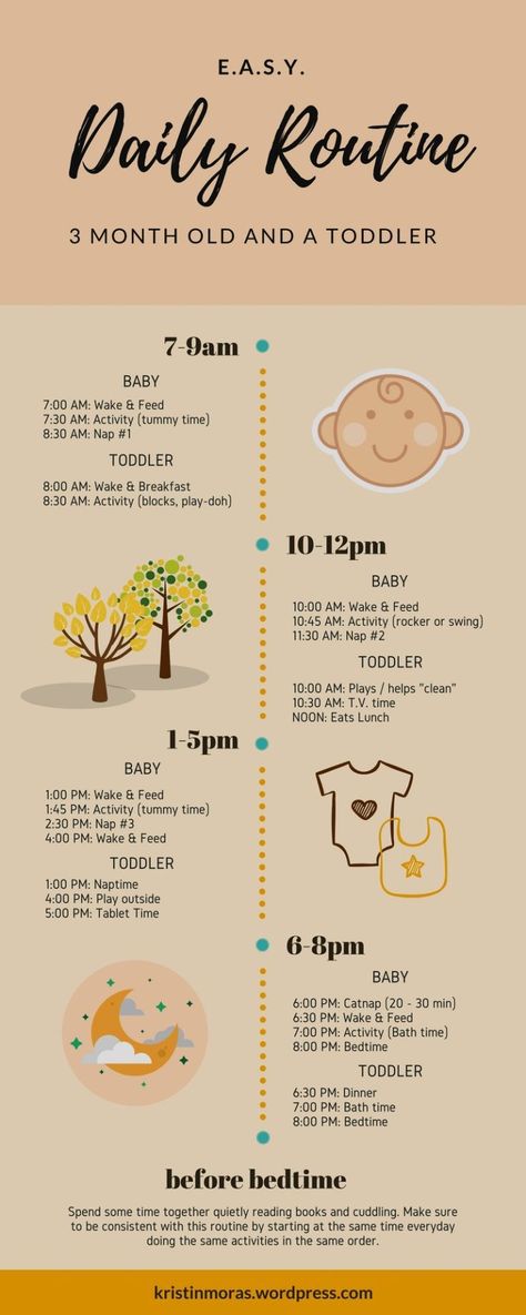 Easy Daily Schedule for babies and toddlers 3 Month Old Milestones, Baby Trivia, Toddler Routine, Baby Routine, Toddler Schedule, 3 Month Old, 3 Month Old Baby, Baby Schedule, Newborn Baby Tips