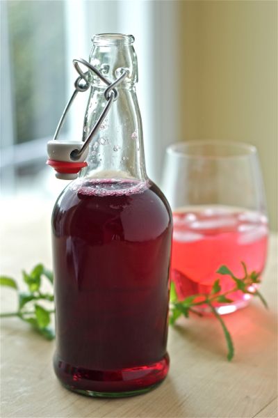 Blueberry Vinegar, Herbal Vinegar, Flavored Vinegars, Infused Vinegars, Drinking Vinegar, Blueberry Bushes, Blueberry Recipes, Infused Oils, Ketchup Bottle